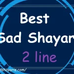 sad-shayari-2-line sad shayari 2 line